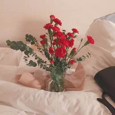 半岛·综合体育下载·官方网站